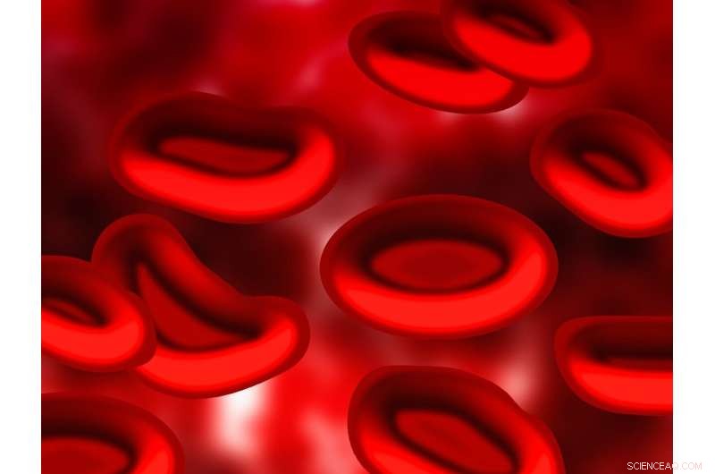 Scientists Reveal How White Blood Cells Swim Using Molecular Paddles