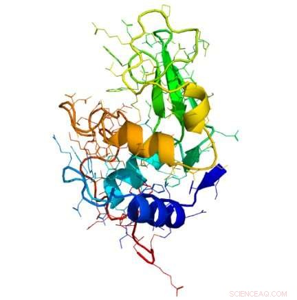 Illuminating Disordered and Fractal Systems: Terahertz Insights into Glassy Dynamics