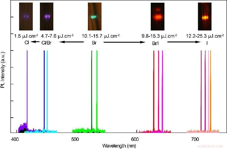 Scientists Achieve Broad-Band Single-Mode Lasers with Colloidal Quantum Dots