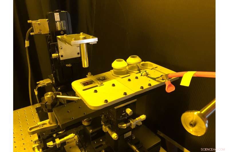 Researchers Master 3D Printing of Tiny Multicolor Microstructures