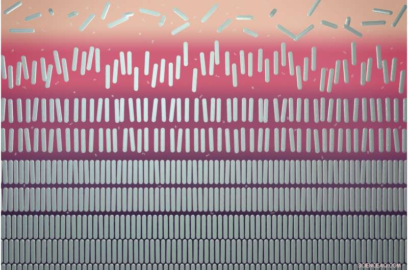 Breaking a 150-Year-Old Law: Revolutionary Findings on Phase Transitions