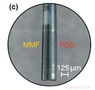 Miniaturized Device Combines Photoacoustic and Fluorescence Imaging for Advanced Biomedical Diagnostics