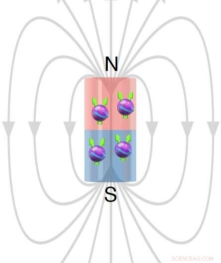 Observation of Bloch Ferromagnetism in Composite Fermions: Experimental Evidence