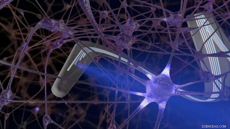 Parylene Photonics: Pioneering Next-Generation Optical Biointerfaces