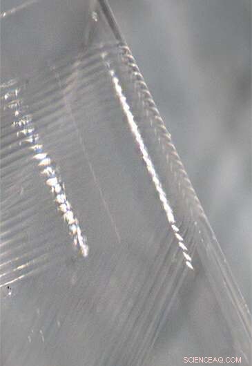 Parylene Photonics: Pioneering Next-Generation Optical Biointerfaces