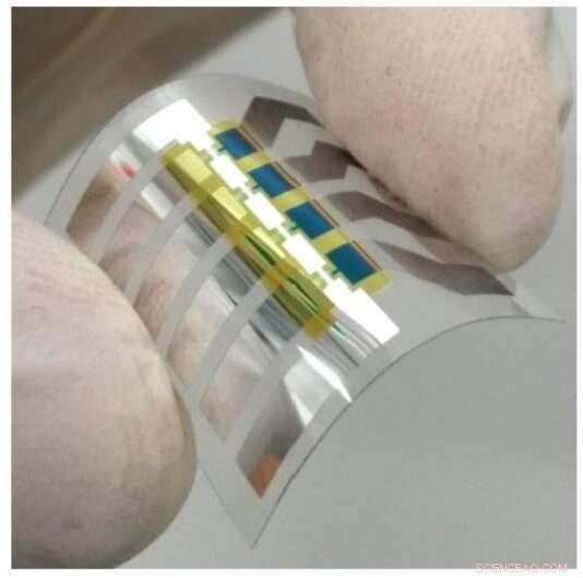 TU Dresden Scientists Pioneer Printable Organic Transistors