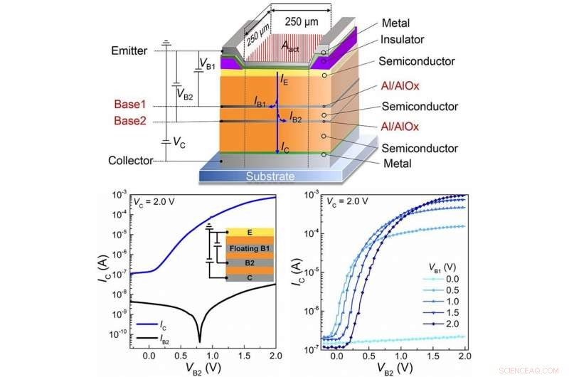 TU Dresden Scientists Pioneer Printable Organic Transistors
