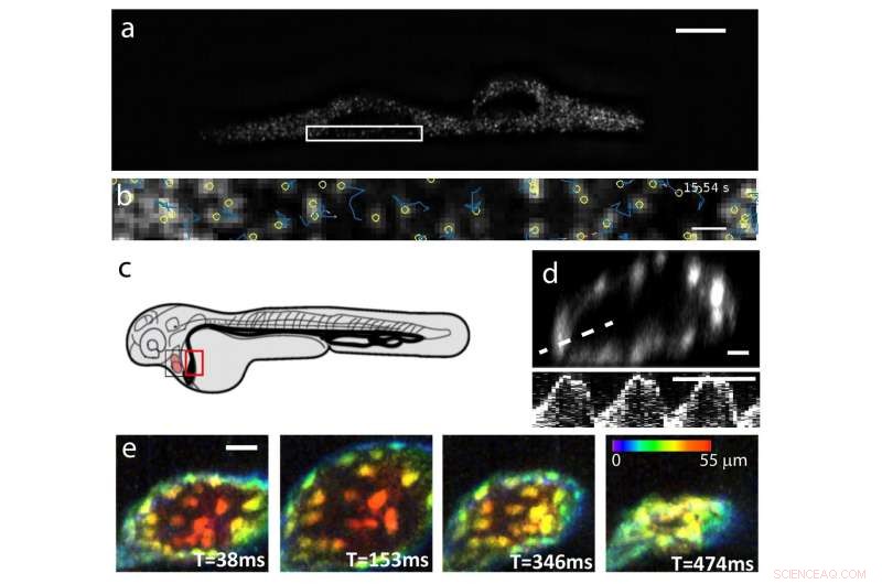 Accelerating 3‑D Microscopy: Transforming Lateral Scanning into Axial Focusing