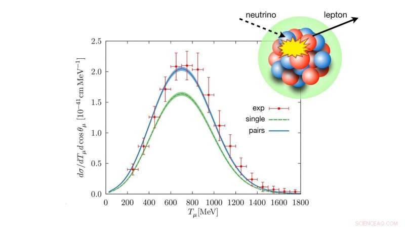 Decoding Ghost Particle Interactions: Insights into Neutrino‑Nucleus Dynamics