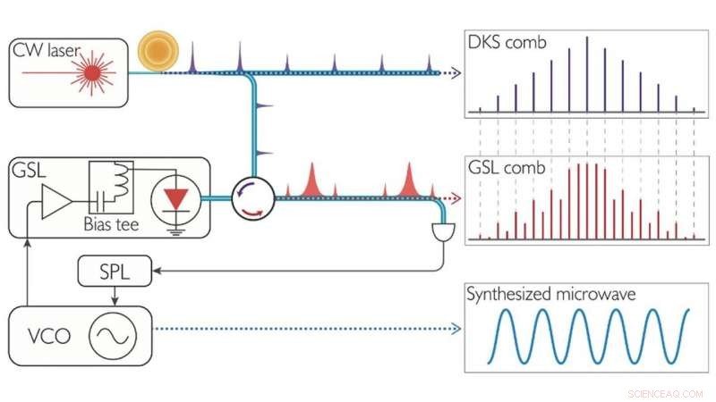Microcomb-Injected Pulsed Lasers Generate Tunable Microwave Frequencies