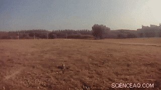 Advanced Cross-Wavelength Invisibility: Integrating Multi-Spectral Cloaking Techniques