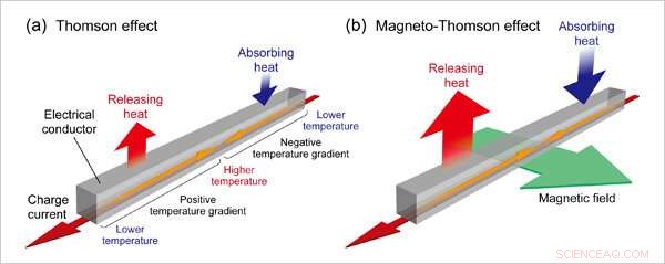 World s First Direct Observation of the Magneto‑Thomson Effect