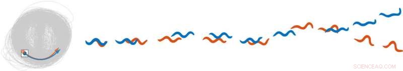 Unraveling the Chaotic Dynamics of Living Organisms  Movement with Physics