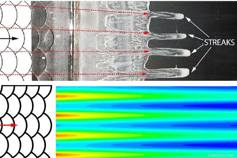 Scientists Discover How Fish Scales Can Reduce Aircraft Drag