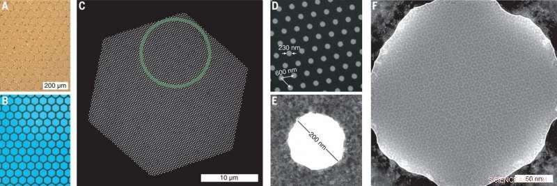 Revolutionizing Cryo-EM: Support Film Delivers Sharper, More Reliable Microscopy