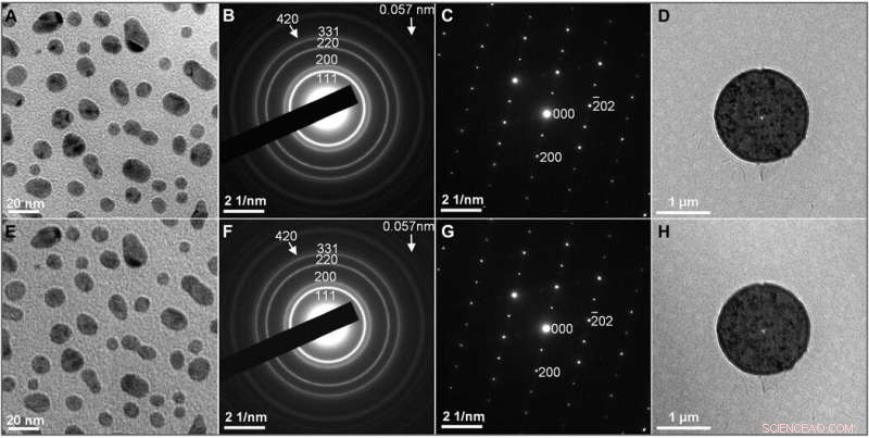 Laser‑Free Ultrafast Electron Microscopy Unveils Electromagnetic Wave Dynamics