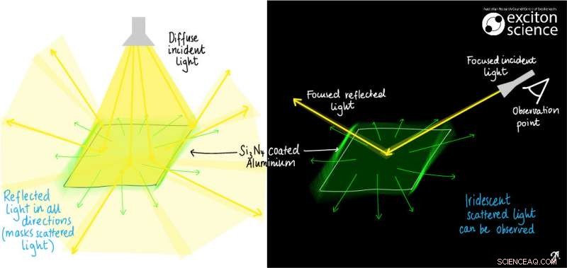 Hidden Colors Revealed: The Science Behind Covert Pigments