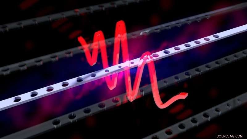 Exploring Schrödinger s Cat: New Research Brings Real-World Insights