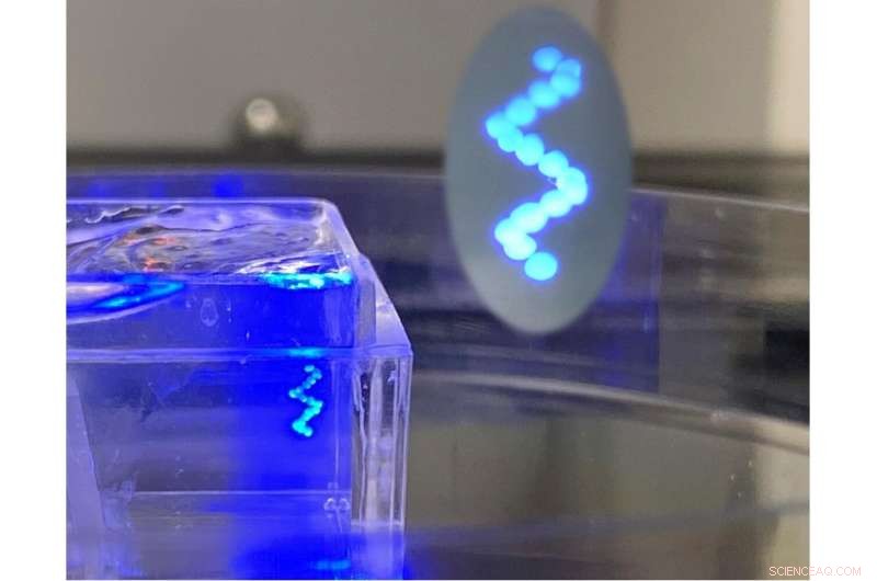 Yield‑Stress Gels Drive 3‑D Bioprinting of Stem‑Cell Tissues