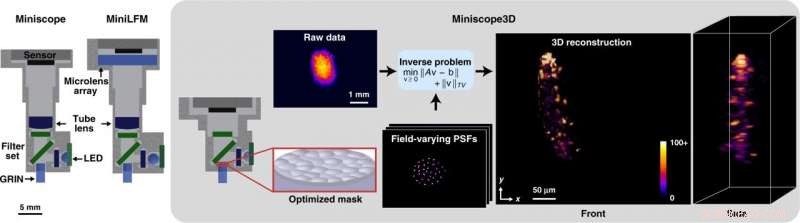 Miniscope3D: A Lightweight, Single-Shot Miniature 3‑D Fluorescence Microscope
