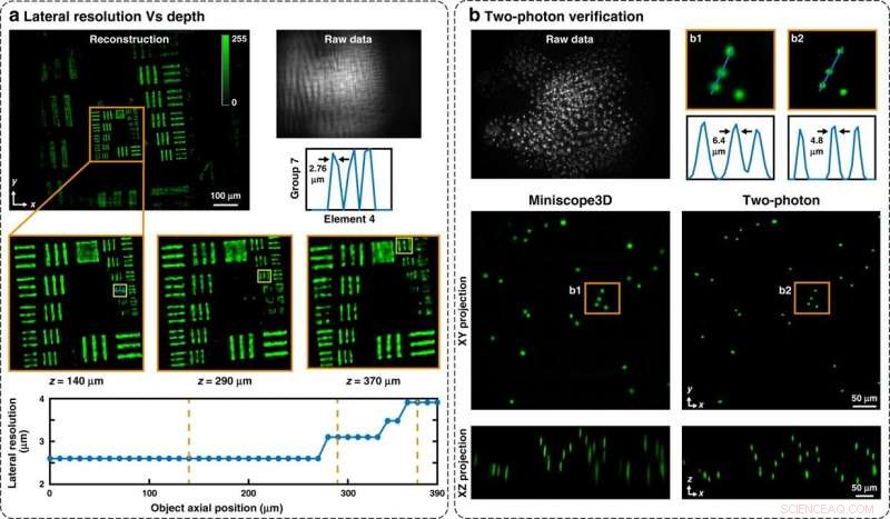 Miniscope3D: A Lightweight, Single-Shot Miniature 3‑D Fluorescence Microscope