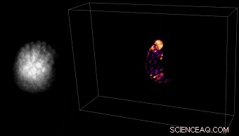 Miniscope3D: A Lightweight, Single-Shot Miniature 3‑D Fluorescence Microscope