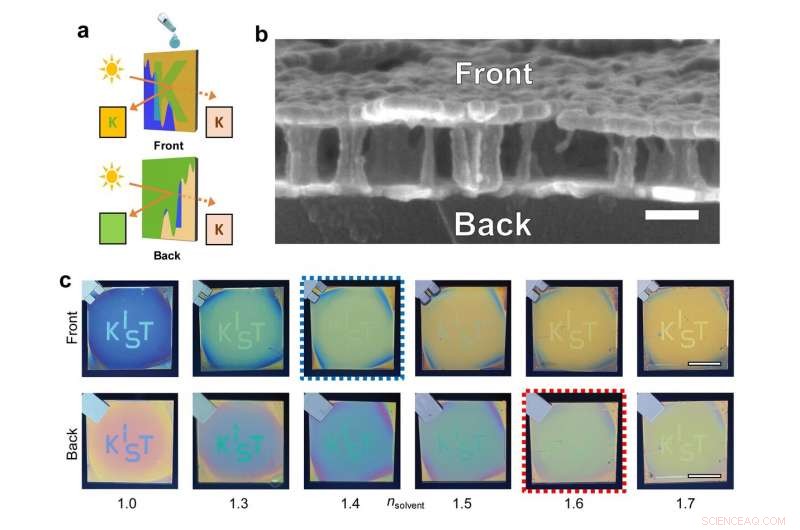 Dynamic Asymmetric Optical Camouflage with Tunable Reflective Color and Janus Effect