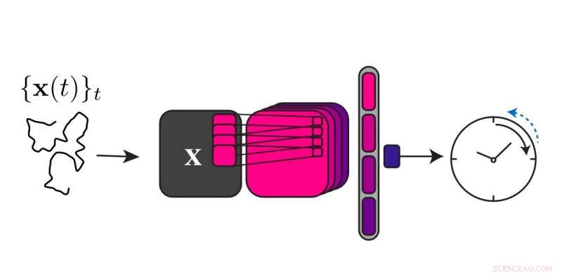 New ML Algorithm Discovers the Thermodynamic Arrow of Time