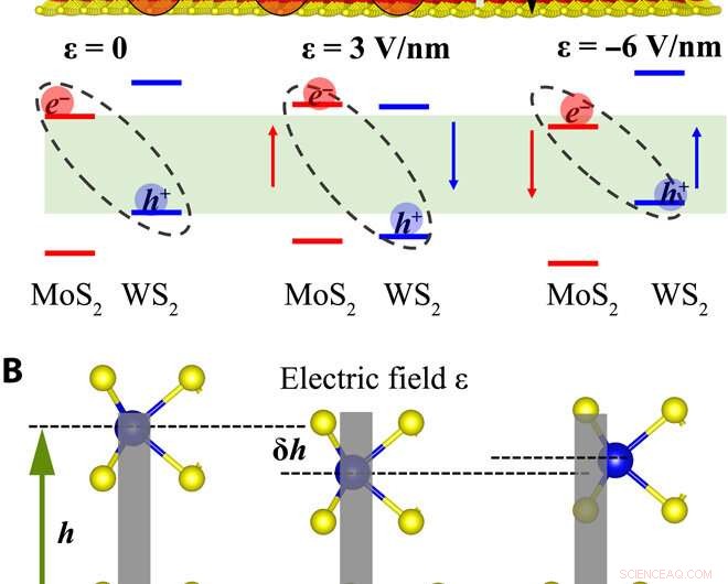 Unveiling Moiré Excitons: A First-Principles Investigation