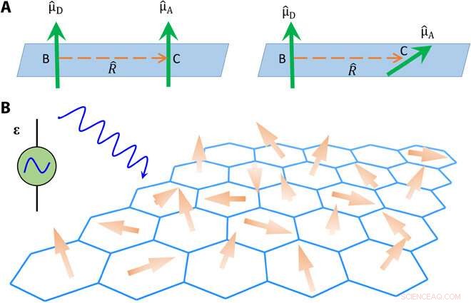 Unveiling Moiré Excitons: A First-Principles Investigation