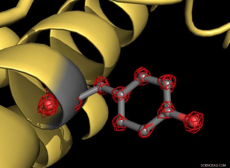 Breaking the World Record: Cryo-EM Yields Unprecedented Resolution