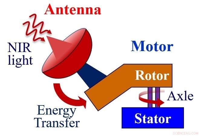Infrared Light Powers Next-Gen Molecular Motor