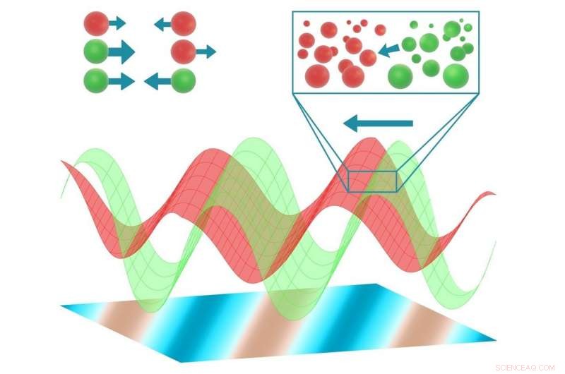 Revolutionary Organism Organization Model Promises Deeper Insight into Biological Processes