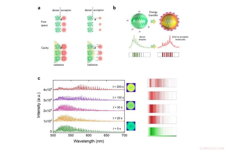 Advanced Photonic Barcodes Capture Energy Transfer at Biological Interfaces