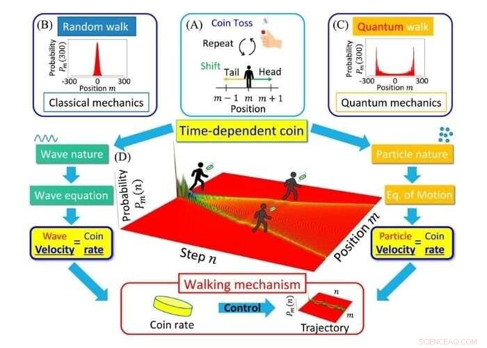 Quantum Walk Study Shows Direction Determined by Coin-Flip Rate