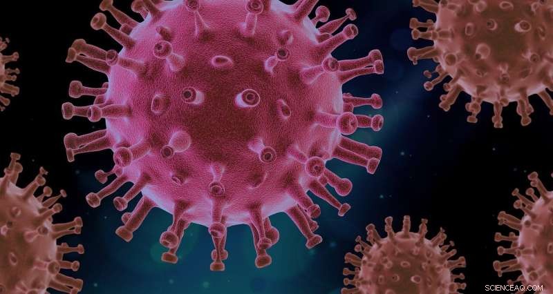 Reimagining COVID-19: Mona Kanso s Innovative Virus Modelling