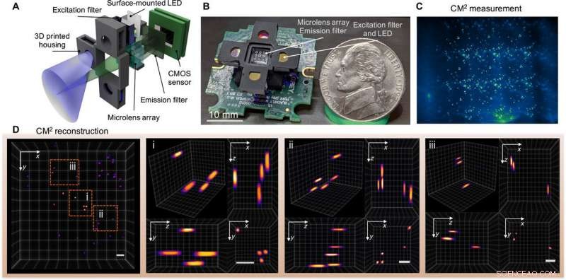 Single-shot 3‑D Wide-field Fluorescence Imaging with a Computational Miniature Mesoscope