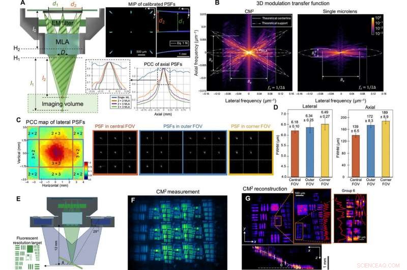 Single-shot 3‑D Wide-field Fluorescence Imaging with a Computational Miniature Mesoscope