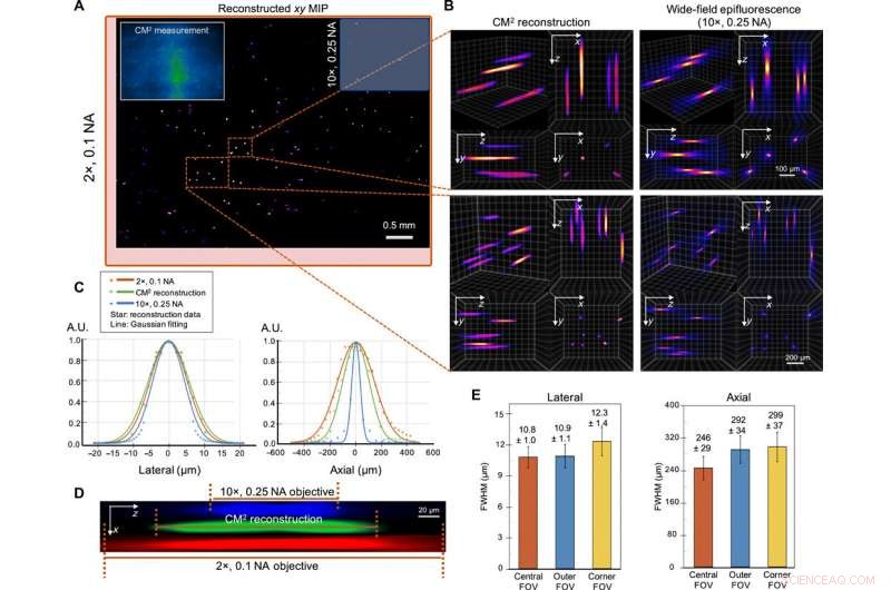 Single-shot 3‑D Wide-field Fluorescence Imaging with a Computational Miniature Mesoscope