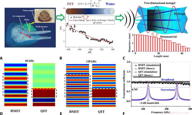 Advanced Bioinspired Metagel for Broadband Tunable Acoustic Impedance Matching
