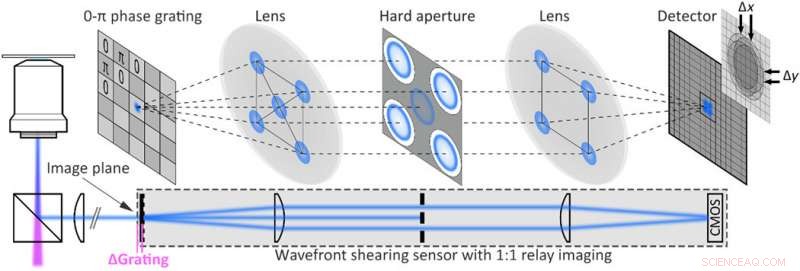 Advanced 3‑D Tracking of Extracellular Vesicles via Holographic Fluorescence Imaging
