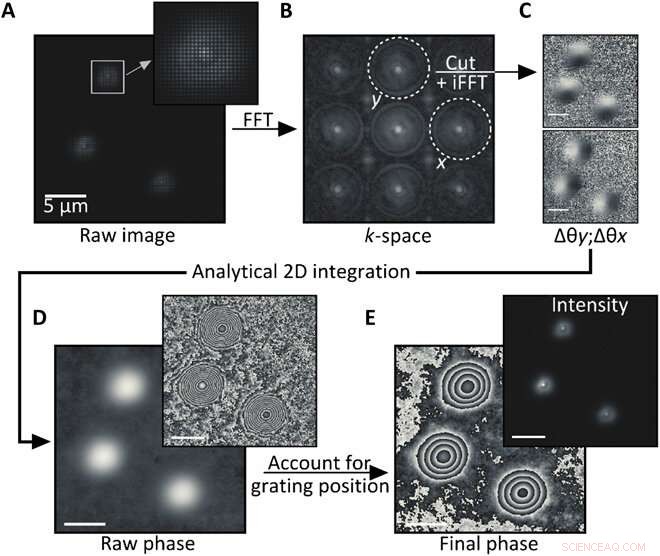 Advanced 3‑D Tracking of Extracellular Vesicles via Holographic Fluorescence Imaging