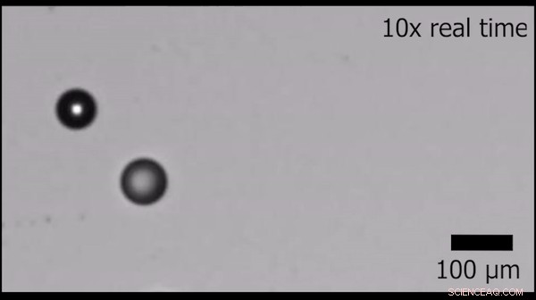 Oil Droplets Mimic Predators: Chasing Prey in Surfactant Solutions