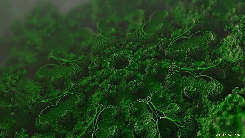 Entropy Production Receives a System Update: Advancing Thermodynamic Understanding