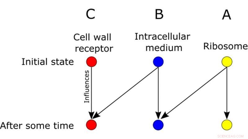 Entropy Production Receives a System Update: Advancing Thermodynamic Understanding