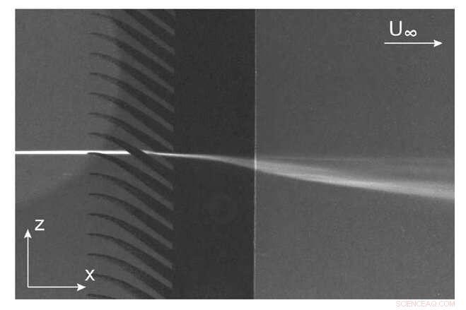 Owl Feather Finlets Reveal Blueprint for Quieter Aircraft: A Study on Silent Flight