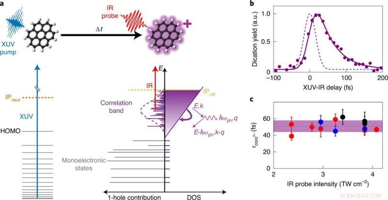 Polycyclic Aromatics Follow Unified Relaxation Pathway, Resembling Solid-State Behavior