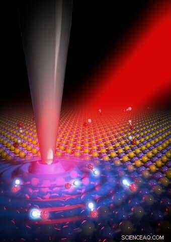 Phonon Polaritons Meet Molecules: Unveiling Vibrational Coupling