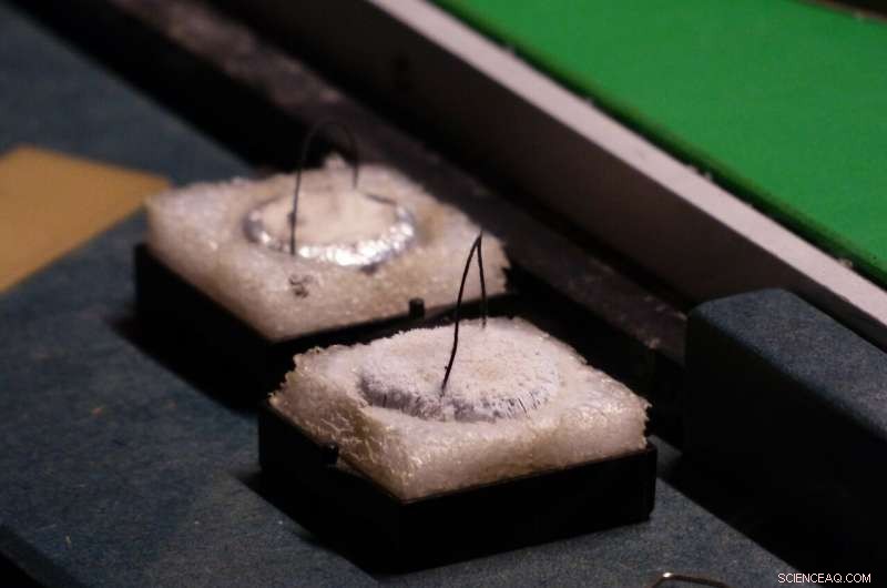 New Breakthrough: Researcher Pinpoints Critical Point to Boost Superconductor Performance