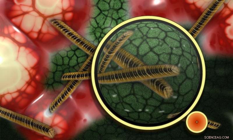 Slower Bacterial Movement Promotes Faster Surface Spread – Insights from Recent Study